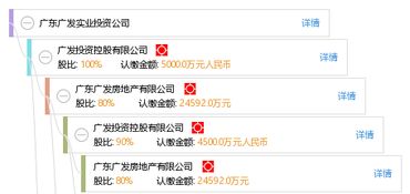 广东广发实业投资公司
