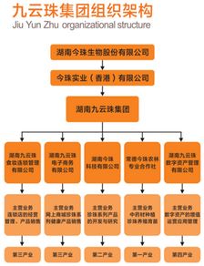九云珠 涉传销被罚没1749.78万元 曾宣称 打造1000个百万富翁