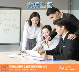 代理商标注册 合肥商标注册 威爱辟公司 查看