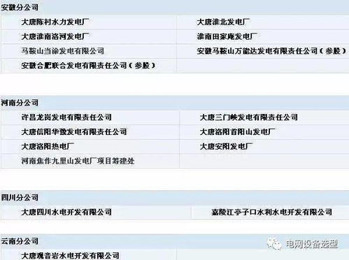 五大电力集团公司下属电厂 部分 明细 留着很有用