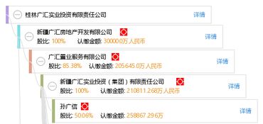 桂林广汇实业投资有限责任公司