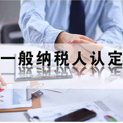 代理记账,公司注册,财税咨询,财税顾问,投资咨询,企业管理咨询,验资,财务审计,涉税修正,资产评估,资本运作等