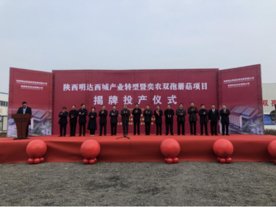 陕西第一家工厂化种植双孢蘑菇生产线在勉县建成投产