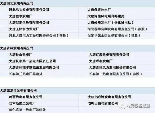 五大电力集团公司下属电厂 部分 明细 留着很有用