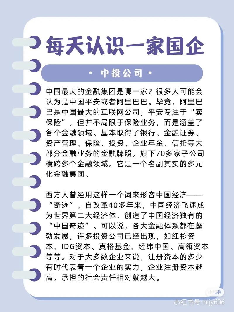 中国投资有限责任公司(china investment co