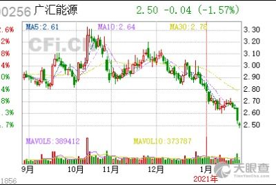 新疆广汇实业投资 集团 有限责任公司孙广信 工商 风险信息 天眼查