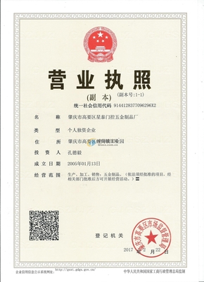 肇庆市高要区星泰门控五金制品厂投资咨询服务全面解析