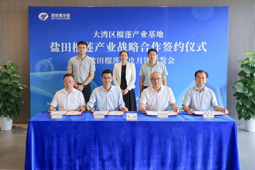 深圳盐田区携手企业启动百项可量产榴莲衍生品研发与投资咨询服务